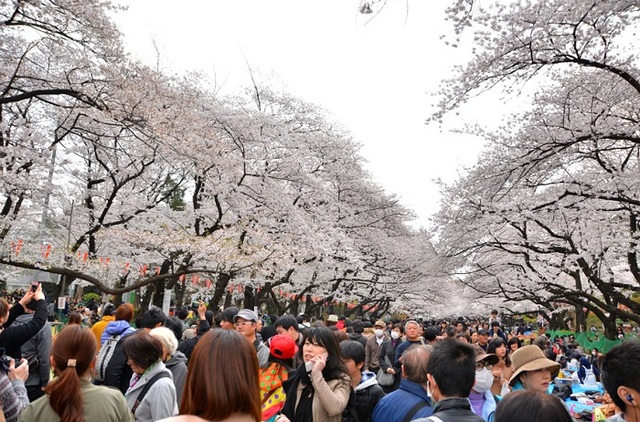 Những lễ hội mùa xuân độc đáo tại Tokyo - 4 Những lễ hội mùa xuân độc đáo tại Tokyo - 4