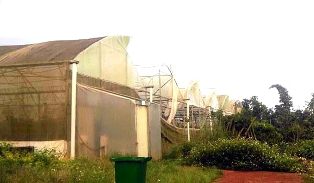 Công an truy tìm nguyên Giám đốc Sở Khoa học và Công nghệ tỉnh Đồng Nai - 2 Công an truy tìm nguyên Giám đốc Sở Khoa học và Công nghệ tỉnh Đồng Nai - 2