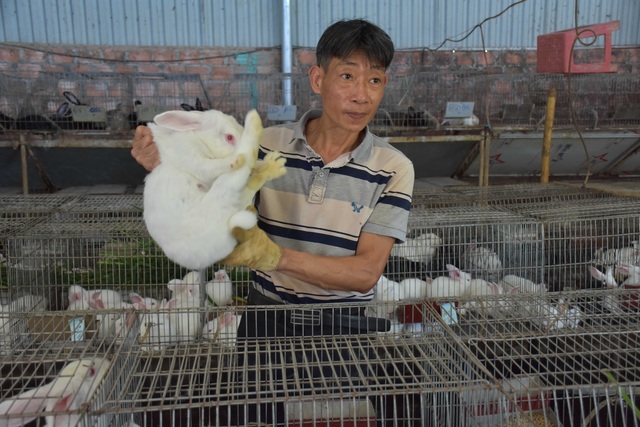 Lão nông mày mò nuôi thỏ thương phẩm, thu về hàng trăm triệu mỗi năm - 3 Lão nông mày mò nuôi thỏ thương phẩm, thu về hàng trăm triệu mỗi năm - 3