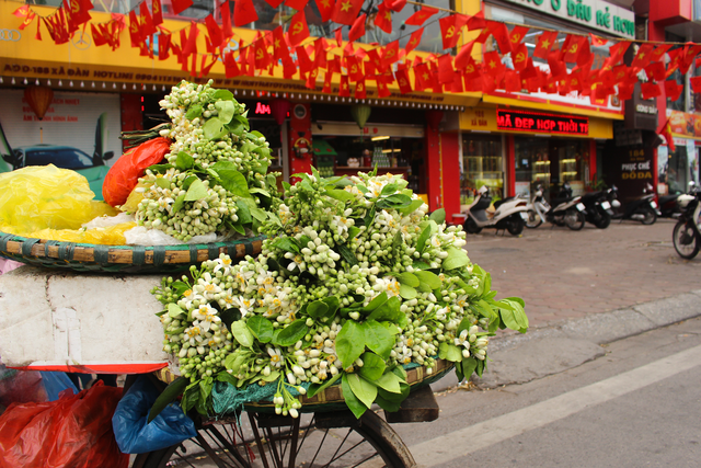 Boredom, bored, people of Ha Thanh 