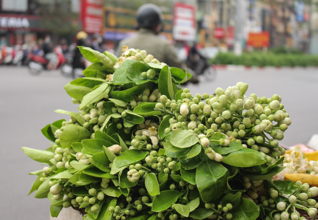 Boredom, bored, people of Ha Thanh 