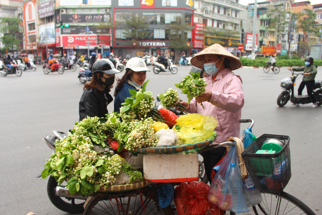 Boredom, bored, people of Ha Thanh 