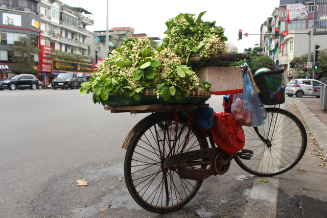 Boredom, bored, people of Ha Thanh 