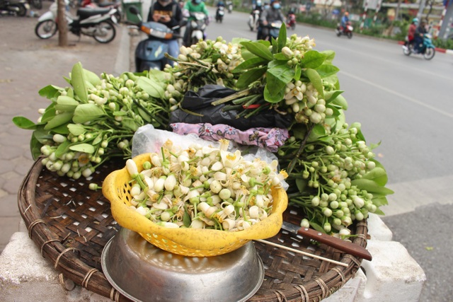 Boredom, bored, people of Ha Thanh 