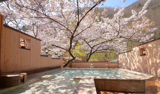 Top 5 suối nước nóng hoa anh đào đẹp nhất Nhật Bản - 1
