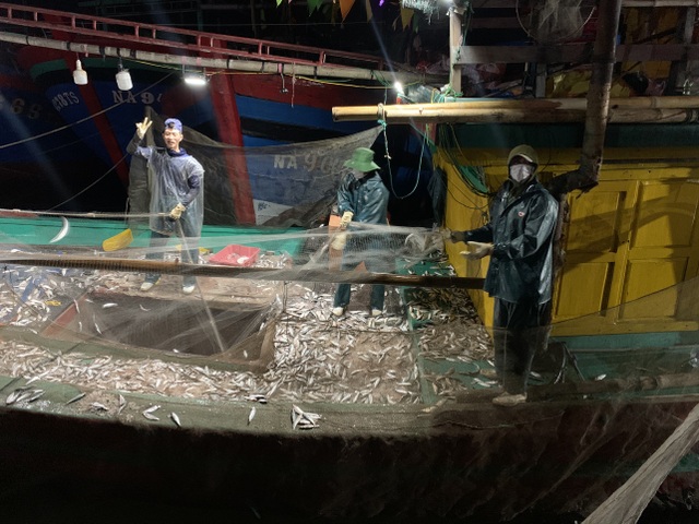 Ngư dân xứ Nghệ kiếm tiền triệu mỗi ngày, nhờ được mùa cá trích - 2 Ngư dân xứ Nghệ kiếm tiền triệu mỗi ngày, nhờ được mùa cá trích - 2