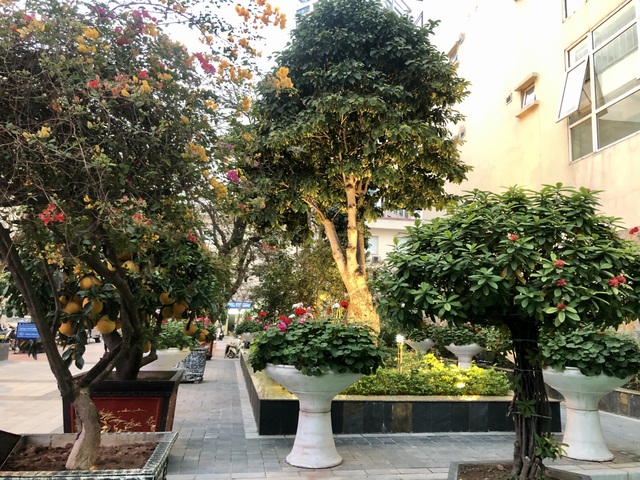 Thứ trưởng Bộ Y tế: Ấn tượng hình ảnh bác sĩ đón công dân Việt ở Vũ Hán - 3 Thứ trưởng Bộ Y tế: Ấn tượng hình ảnh bác sĩ đón công dân Việt ở Vũ Hán - 3