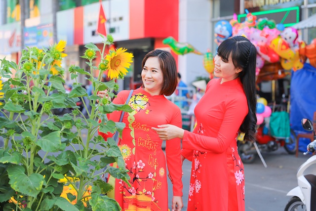Ngắm hoa mùa xuân - 1 Ngắm hoa mùa xuân - 1