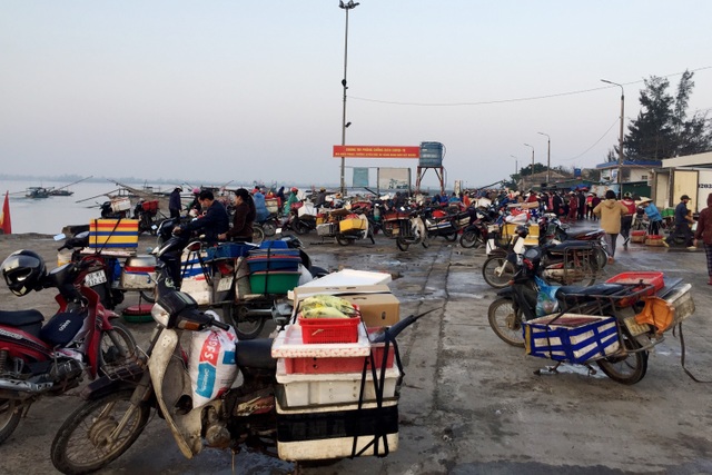 Ngư dân phấn khởi đón lộc đầu năm - 1 Ngư dân phấn khởi đón lộc đầu năm - 1