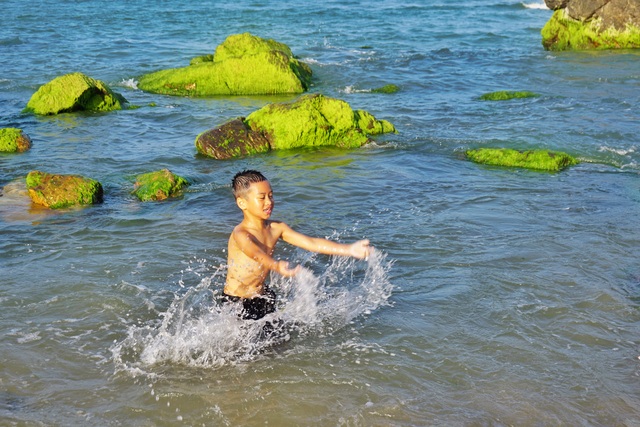 Green moss season at Nam O Da Nang Reef attracts visitors to check-in at the beginning of the year - 5