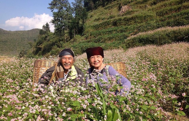 The U70 rider couple stunned when crossing Vietnam by motorbike - 1