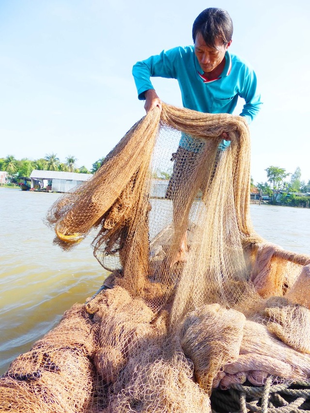 Xóm lặn độc nhất miền Tây, bắt toàn cá khủng - 3 Xóm lặn độc nhất miền Tây, bắt toàn cá khủng - 3