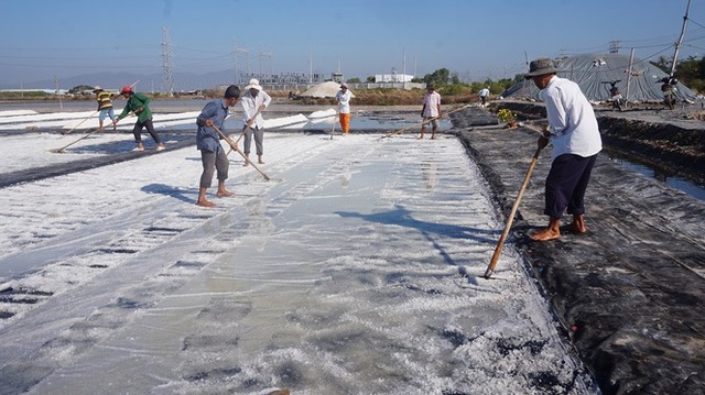 Cận cảnh nghề gieo nước biển đầu năm ở phương Nam - 3 Cận cảnh nghề gieo nước biển đầu năm ở phương Nam - 3