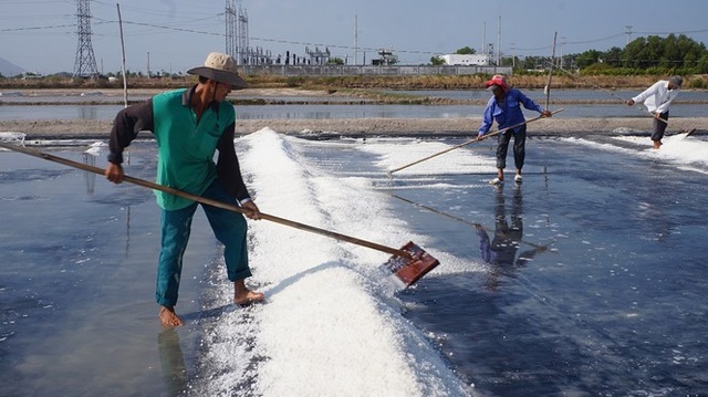 Cận cảnh nghề gieo nước biển đầu năm ở phương Nam - 6 Cận cảnh nghề gieo nước biển đầu năm ở phương Nam - 6