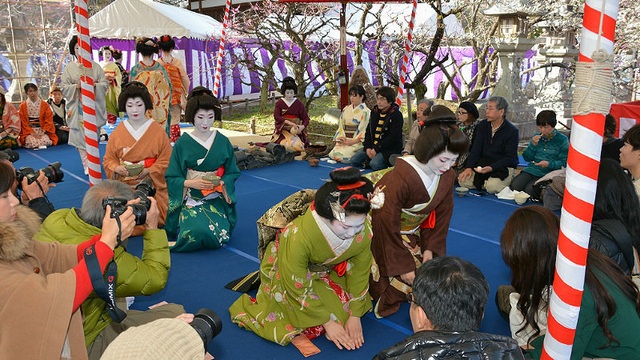 Thưởng thức tiệc trà dưới tán hoa mơ với geisha - 6