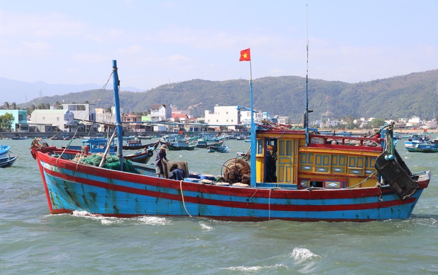 Phú Yên: Trúng ruốc biển, ngư dân bỏ túi tiền triệu mỗi ngày - 1