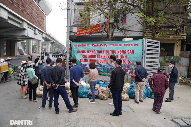 Người dân thủ đô giải cứu rau củ cho nông dân Hà Nội: Dân nào cũng thương - 1