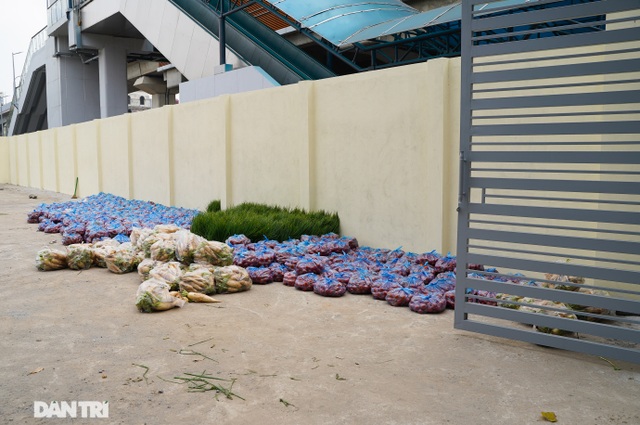 Người dân thủ đô giải cứu rau củ cho nông dân Hà Nội: Dân nào cũng thương - 4
