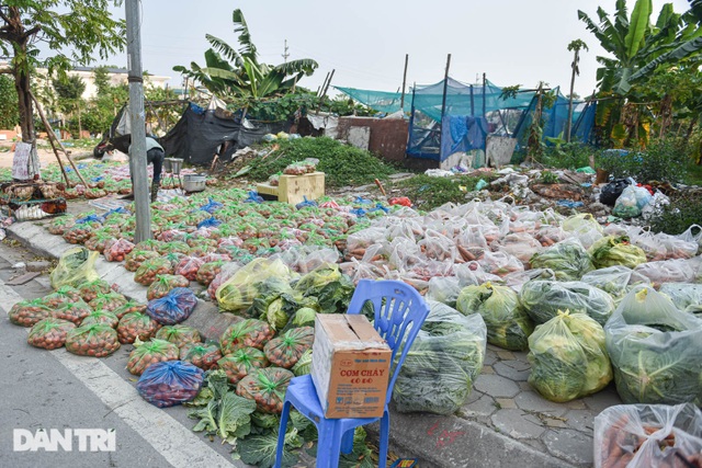 Người Hà Nội trả gấp 5, 10 lần để mua nông sản Hải Dương - 9 Người Hà Nội trả gấp 5, 10 lần để mua nông sản Hải Dương - 9