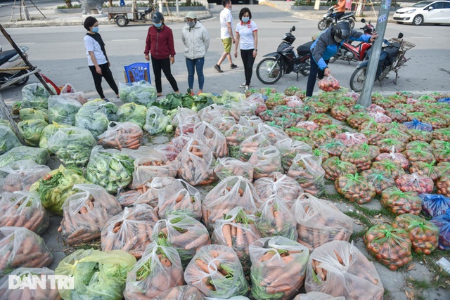 Người Hà Nội trả gấp 5, 10 lần để mua nông sản Hải Dương - 1 Người Hà Nội trả gấp 5, 10 lần để mua nông sản Hải Dương - 1