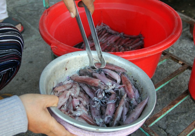 Come to Phu Yen to taste shrimp and squid pancakes 