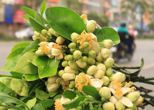 Dân Hà Nội rộ mốt mua hoa bưởi cúng rằm tháng Giêng - 1