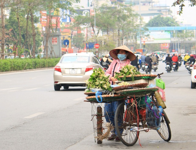 Dân Hà Nội rộ mốt mua hoa bưởi cúng rằm tháng Giêng - 2