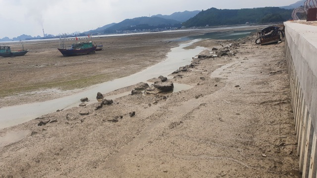 Huyện Vân Đồn lên tiếng vụ doanh nghiệp lấn biển bị phạt 100 triệu đồng - 1 Huyện Vân Đồn lên tiếng vụ doanh nghiệp lấn biển bị phạt 100 triệu đồng - 1