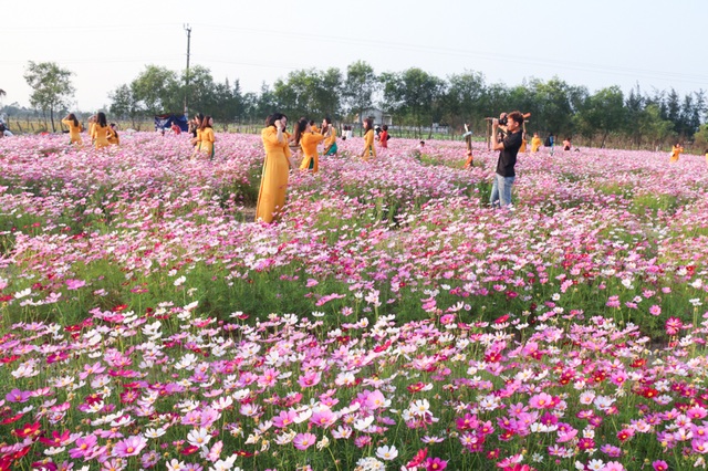 Trồng sao nhái thay dưa, chàng trai thu nhập hàng triệu đồng mỗi ngày - 4 Trồng sao nhái thay dưa, chàng trai thu nhập hàng triệu đồng mỗi ngày - 4