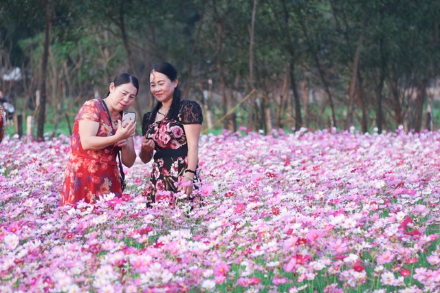 Trồng sao nhái thay dưa, chàng trai thu nhập hàng triệu đồng mỗi ngày - 8 Trồng sao nhái thay dưa, chàng trai thu nhập hàng triệu đồng mỗi ngày - 8