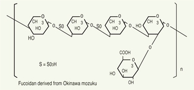 Món quà tuyệt vời cho sức khỏe từ Fucoidan có nguồn gốc từ tảo nâu - 2 Món quà tuyệt vời cho sức khỏe từ Fucoidan có nguồn gốc từ tảo nâu - 2