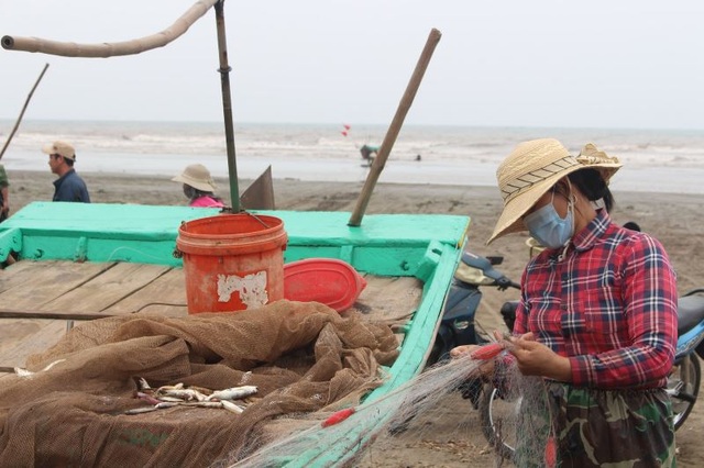 Đầu xuân, ngư dân Nam Định ra khơi nhưng thu nhập giảm - 5 Đầu xuân, ngư dân Nam Định ra khơi nhưng thu nhập giảm - 5