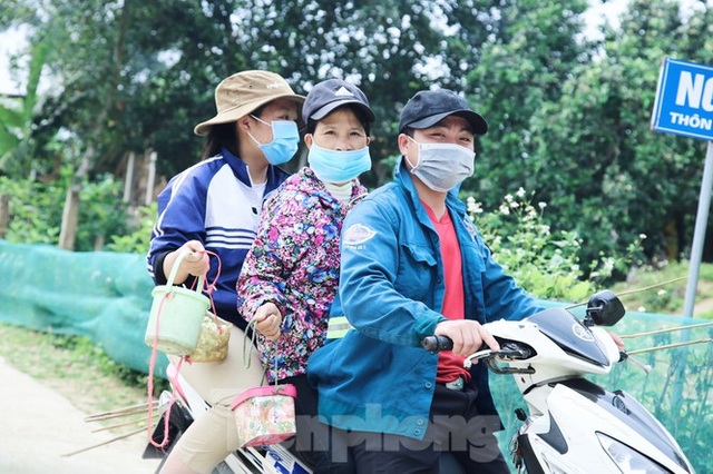 Xem nông dân Hà Tĩnh thụ phấn cho đệ nhất bưởi - 3 Xem nông dân Hà Tĩnh thụ phấn cho đệ nhất bưởi - 3