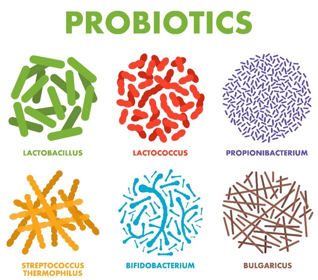 Xà phòng bổ sung Probiotic - Bước phát triển mới, an toàn và không gây kích ứng cho mọi loại da - 1 Xà phòng bổ sung Probiotic - Bước phát triển mới, an toàn và không gây kích ứng cho mọi loại da - 1