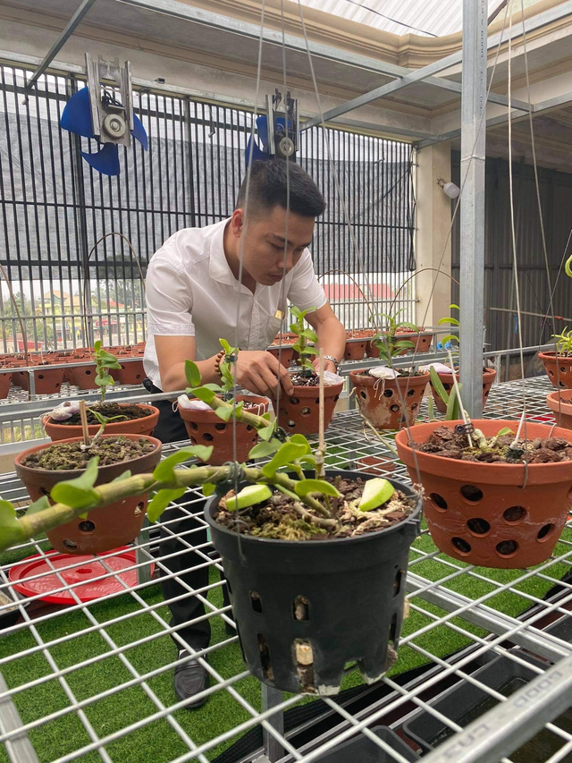 Nghệ nhân chia sẻ cách chăm sóc hoa lan sau khi chơi Tết sao cho đúng cách - 1 Nghệ nhân chia sẻ cách chăm sóc hoa lan sau khi chơi Tết sao cho đúng cách - 1