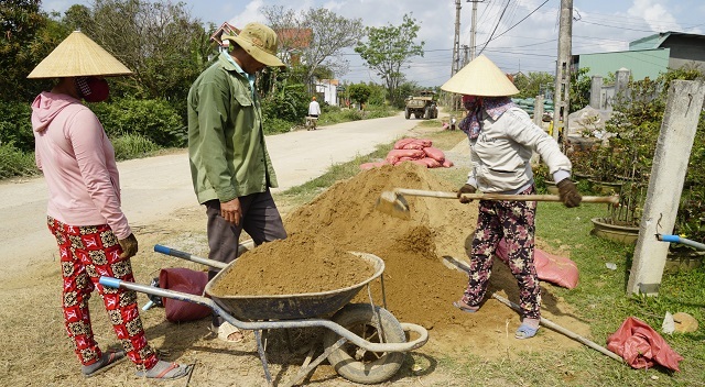 Người làm nghề trồng mai ở Bình Định tất bật tút tát cây sau Tết - 6 Người làm nghề trồng mai ở Bình Định tất bật tút tát cây sau Tết - 6