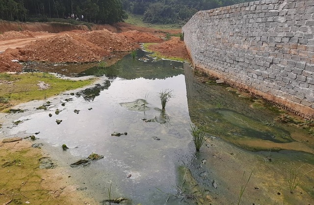 Dân khốn khổ vì trang trại lợn: Nước thối đến mức trâu còn không muốn tắm - 3 Dân khốn khổ vì trang trại lợn: Nước thối đến mức trâu còn không muốn tắm - 3