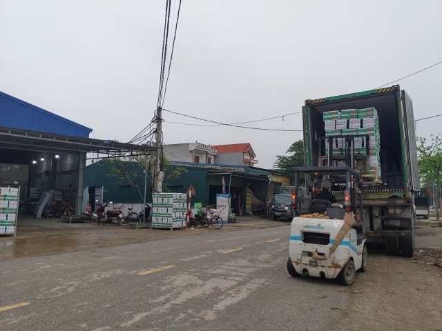 Hải Dương: Cà rốt ra khơi, hàng ngon tăng giá sau lệnh gỡ phong tỏa - 9 Hải Dương: Cà rốt ra khơi, hàng ngon tăng giá sau lệnh gỡ phong tỏa - 9