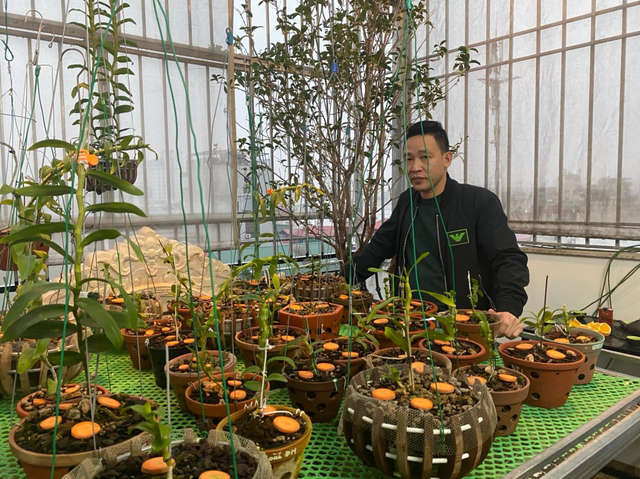 Nghệ nhân Nguyễn Văn Mạnh bật mí cách xử lý cây con, tưới nước cho cây lan - 1 Nghệ nhân Nguyễn Văn Mạnh bật mí cách xử lý cây con, tưới nước cho cây lan - 1