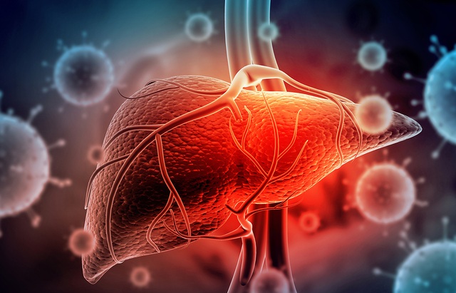 Rùng mình với cách virus âm thầm tàn phá lá gan - 3