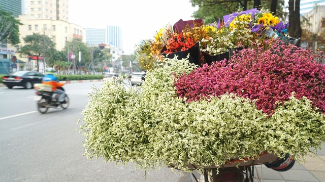 Cận ngày 8/3, hoa tươi bán dọc vỉa hè, tiểu thương đứng ngồi chờ khách - 3