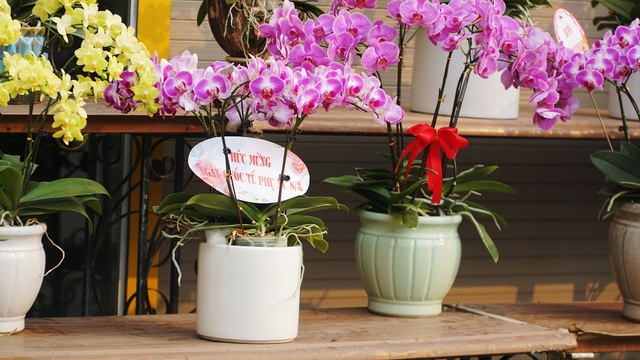 Cận ngày 8/3, hoa tươi bán dọc vỉa hè, tiểu thương đứng ngồi chờ khách - 7