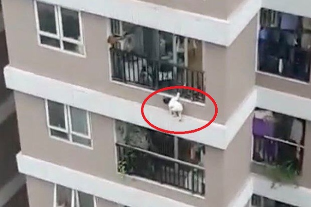 Thay vì hoài nghi, sao không dùng hình ảnh người hùng giáo dục con trẻ? - 2 Thay vì hoài nghi, sao không dùng hình ảnh người hùng giáo dục con trẻ? - 2