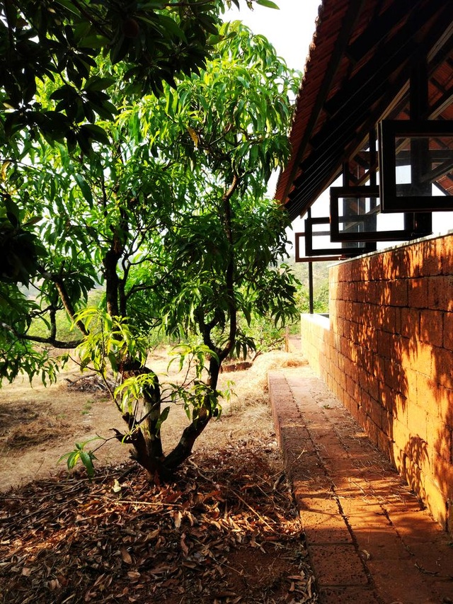 Cặp vợ chồng 60 tuổi chi 300 triệu đồng làm nhà vườn để tận hưởng tuổi già - 5 Cặp vợ chồng 60 tuổi chi 300 triệu đồng làm nhà vườn để tận hưởng tuổi già - 5