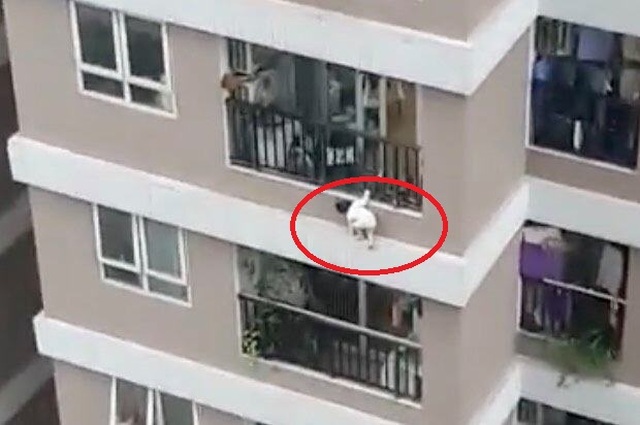 Ngôi nhà an toàn cho trẻ em cần sự chung tay của toàn xã hội - 2 Ngôi nhà an toàn cho trẻ em cần sự chung tay của toàn xã hội - 2