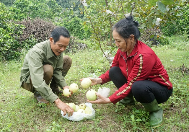 Thoát án chung thân vì tội giết người, ra tù trở thành nông dân giỏi - 6 Thoát án chung thân vì tội giết người, ra tù trở thành nông dân giỏi - 6