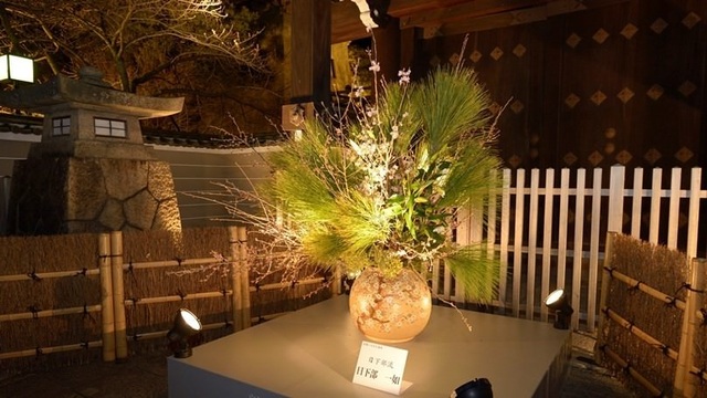 Tháng ba, về Kyoto bước đi trên con đường hoa và ánh sáng - 2 Tháng ba, về Kyoto bước đi trên con đường hoa và ánh sáng - 2