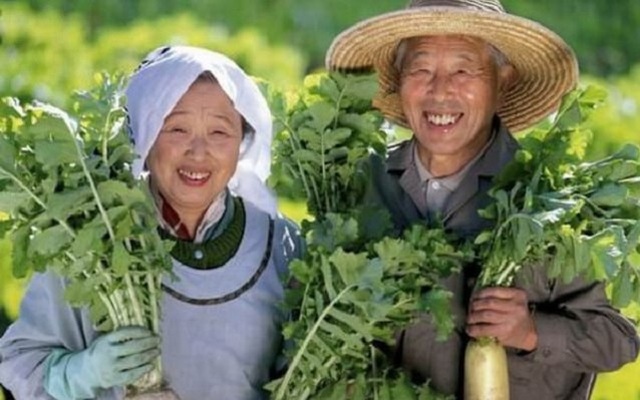Sống lâu trăm tuổi như người Nhật… không khó - 1 Sống lâu trăm tuổi như người Nhật… không khó - 1