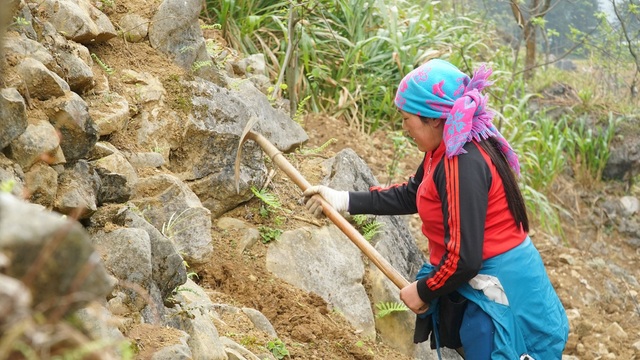 Ngày 8/3 của những người phụ nữ dân tộc HMông - 10 Ngày 8/3 của những người phụ nữ dân tộc HMông - 10