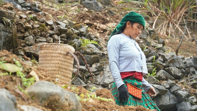 Ngày 8/3 của những người phụ nữ dân tộc HMông - 12 Ngày 8/3 của những người phụ nữ dân tộc HMông - 12
